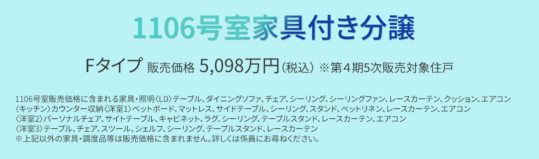 1106号室家具付き分譲