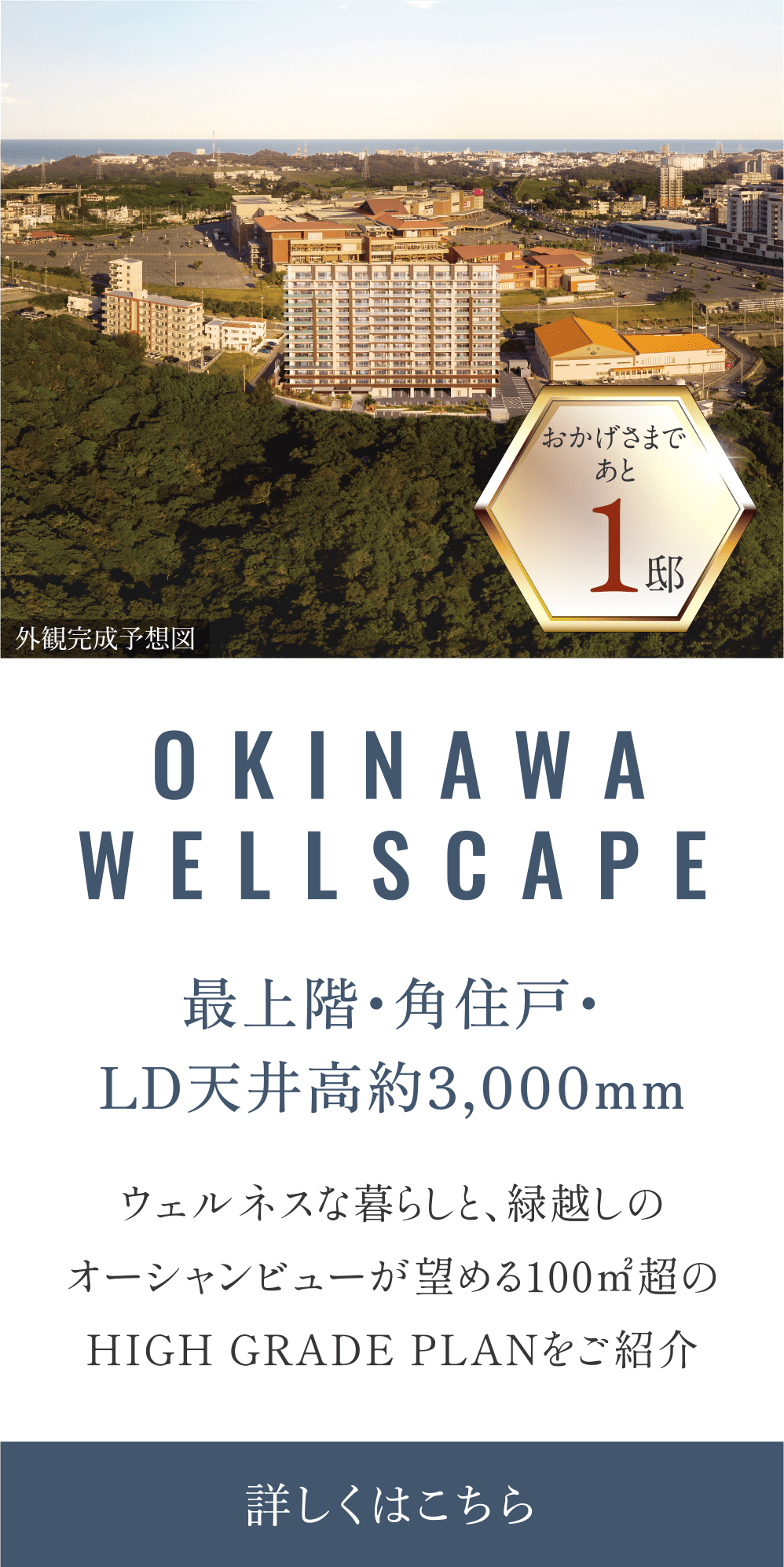 okinawawellscape