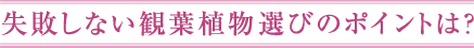 失敗しない観葉植物選びのポイントは？