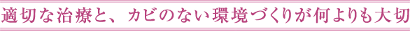 適切な治療と、カビのない環境づくりが何よりも大切