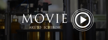 MOVIE AKUTO ICHIROH