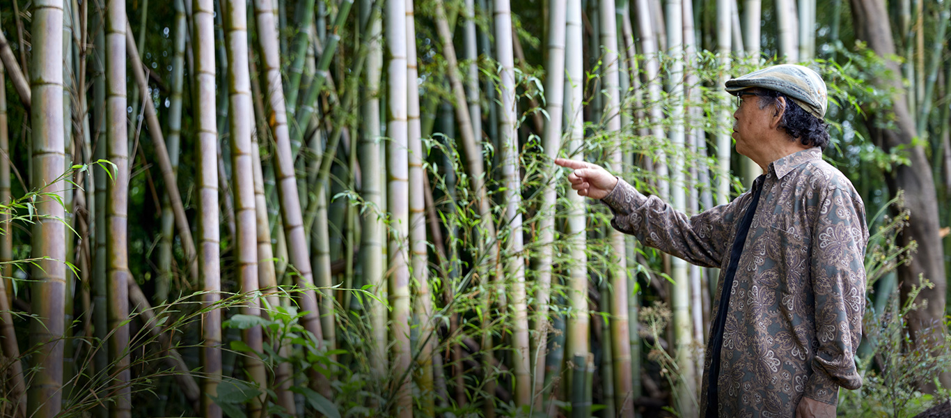 ふつう竹材は秋に伐採する。取材では地元の竹林を訪れ、竹の成長や個性を解説。真っ直ぐな竹よりもくせのある竹を好む。