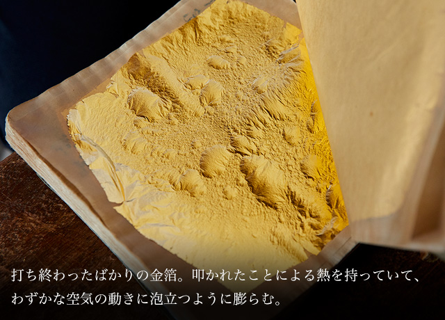 香合 吉田美統 定価 156000円 - 陶芸最新