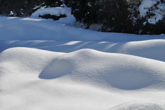 山陰では冬の晴天は貴重。積もった雪に太陽の光と陰がさまざまな模様を描くのを見るのが楽しい。（前田昭博氏撮影）