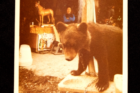 高校を卒業する頃、客を喜ばせるために父が子熊を買ってきた。その子熊の世話が店での最初の仕事となった。