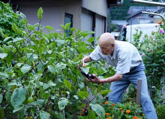 庭で様々な野菜を栽培している岩野家では、新鮮な野菜を使った料理がいつも食卓に並ぶ。それも夫婦の健康の秘訣である。