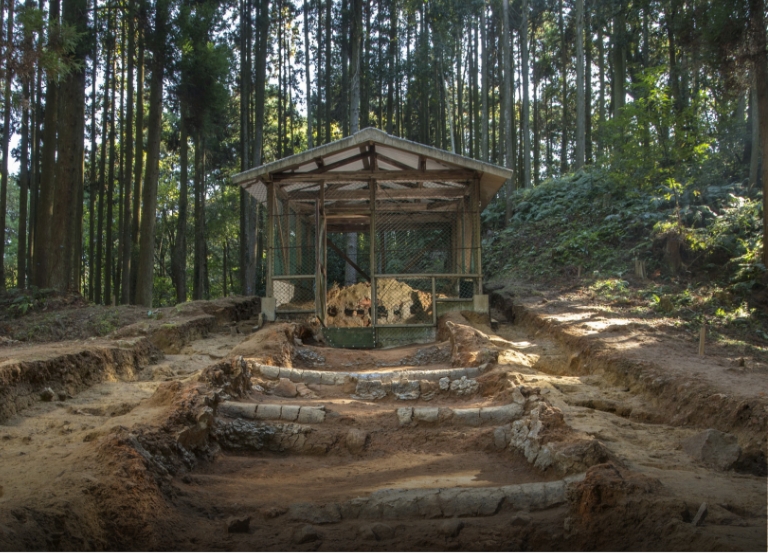 亀右衛門さま 長門 GENESIS on X