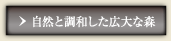 自然と調和した広大な森