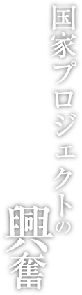 国家プロジェクトの興奮