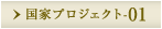 国家プロジェクト-01