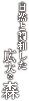 自然と調和した広大な森