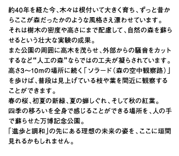 約40年を経た今、木々は根付いて大きく育ち、ずっと昔からここが森だったかのような風格さえ漂わせています。それは樹木の密度や高さにまで配慮して、自然の森を蘇らせるという壮大な実験の成果。また公園の周囲に高木を茂らせ、外部からの騒音をカットするなど“人工の森”ならではの工夫が凝らされています。高さ3～10mの場所に続く「ソラード（森の空中観察路）」を歩けば、普段は見上げている枝や葉を間近に観察することができます。春の桜、初夏の新緑、夏の蝉しぐれ、そして秋の紅葉。四季の移ろいを全身で感じることができる場所を、人の手で蘇らせた万博記念公園。「進歩と調和」の先にある理想の未来の姿を、ここに垣間見れるかもしれません。