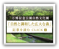 万博記念公園自然文化園「自然と調和した広大な森」