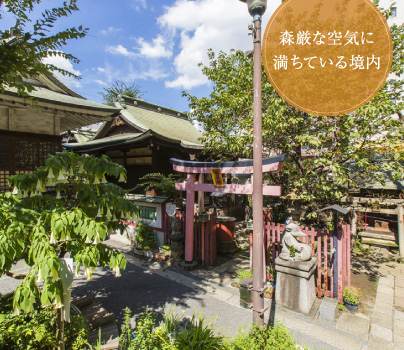 森厳な空気に満ちている境内
