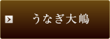 うなぎ大嶋