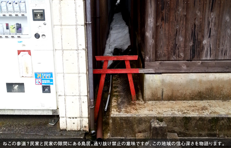 ねこの参道？民家と民家の隙間にある鳥居。通り抜け禁止の意味ですが、この地域の信心深さを物語ります。