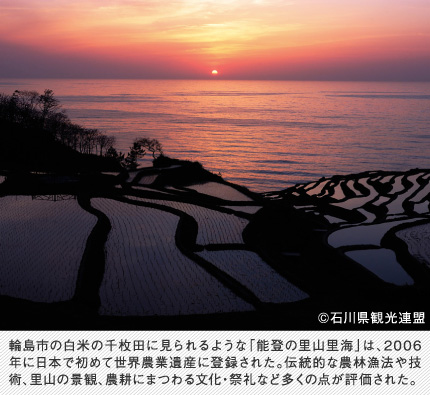 輪島市の白米の千枚田に見られるような「能登の里山里海」は、2006年に日本で初めて世界農業遺産に登録された。伝統的な農林漁法や技術、里山の景観、農耕にまつわる文化・祭礼など多くの点が評価された。