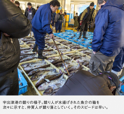 宇出津港の競りの様子。競り人が水揚げされた魚介の籠を次々に示すと、仲買人が競り落としていく。そのスピードは早い。