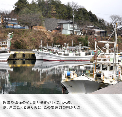 近海や遠洋のイカ釣り漁船が並ぶ小木港。夏、沖に見える漁り火は、この集魚灯の明かりだ。