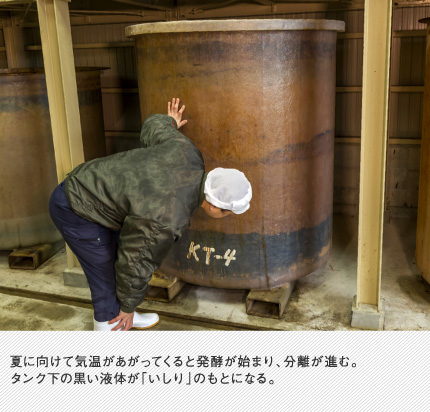 夏に向けて気温があがってくると発酵が始まり、分離が進む。タンク下の黒い液体が「いしり」のもとになる。