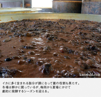イカに多く含まれる脂分が膜になって蓋の役割も果たす。冬場は静かに眠っているが、梅雨から夏場にかけて劇的に発酵するシーズンを迎える。