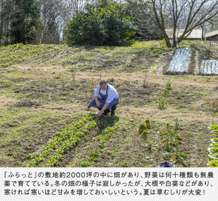 「ふらっと」の敷地約2000坪の中に畑があり、野菜は何十種類も無農薬で育てている。冬の畑の様子は寂しかったが、大根や白菜などがあり、寒ければ寒いほど甘みを増しておいしいという。夏は草むしりが大変！