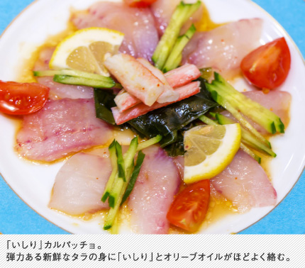 いしりカルパッチョ。弾力ある新鮮なタラの身にいしりとオリーブオイルがほどよく絡む。