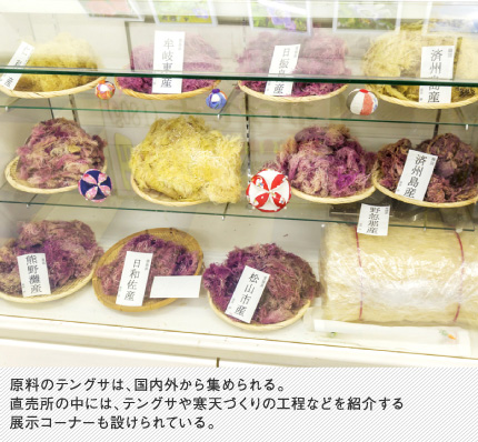 原料のテングサは、国内外から集められる。直売所の中には、テングサや寒天づくりの工程などを紹介する展示コーナーも設けられている。