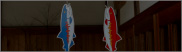 photo1