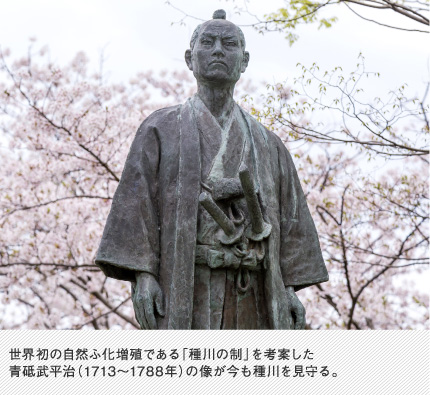 世界初の自然ふ化増殖である「種川の制」を考案した青砥武平治（1713～1788年）の像が今も種川を見守る。
