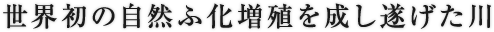 世界初の自然ふ化増殖を成し遂げた川