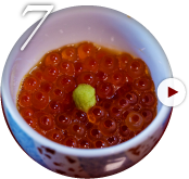 醤油腹子
