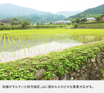 田植がすんでいた秋月地区。山に囲まれたのどかな風景が広がる。