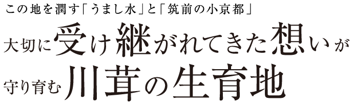 この地を潤す「うまし水」と「筑前の小京都」 大切に受け継がれてきた想いが守り育む川茸の生育地