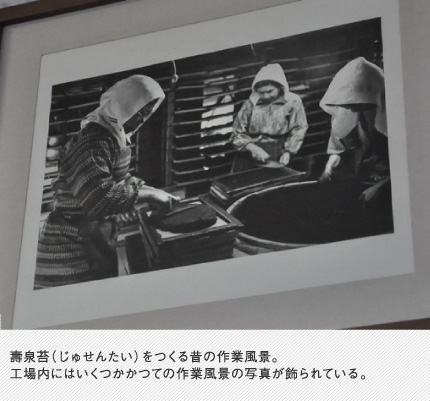 壽泉苔（じゅせんたい）をつくる昔の作業風景。工場内にはいくつかかつての作業風景の写真が飾られている。