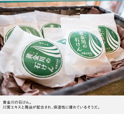 黄金川の石けん。川茸にはサクランという物質が含まれ、抜群の保水力をもつ。そのため肌の保湿に適している。アトピーの治療にも研究されている物質だ。
