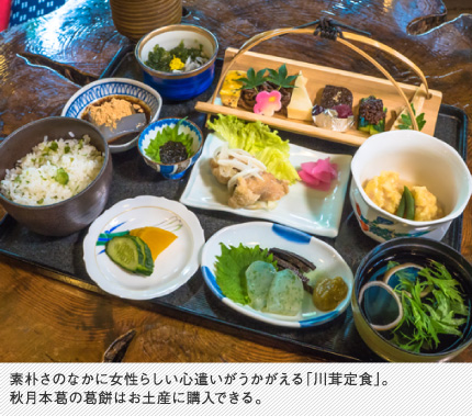 素朴さのなかに女性らしい心遣いがうかがえる「川茸定食」。秋月本葛の葛餅はお土産に購入できる。