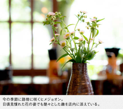 今の季節に路傍に咲くヒメジョオン。日頃見慣れた花の姿でも楚々とした趣を店内に添えている。