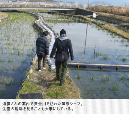 遠藤さんの案内で黄金川を訪れた篠原シェフ。生産の現場を見ることも大事にしている。