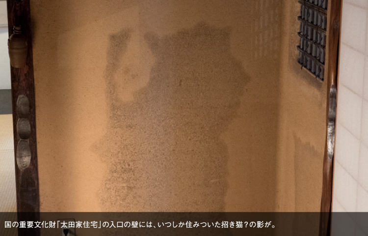 国の重要文化財「太田家住宅」の入口の壁には、いつしか住みついた招き猫？の影が。