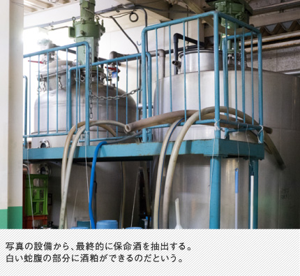 写真の設備から、最終的に保命酒を抽出する。白い蛇腹の部分に酒粕ができるのだという。