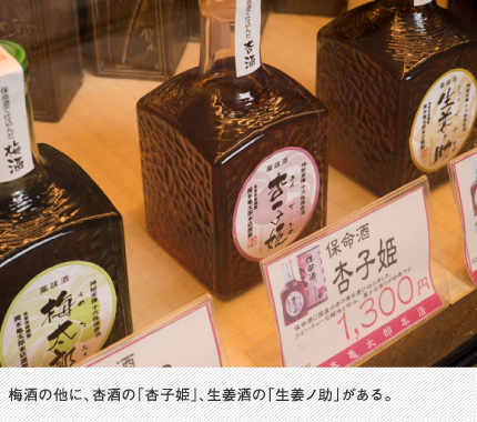 梅酒の他に、杏酒の「杏子姫」、生姜酒の「生姜ノ助」がある。
