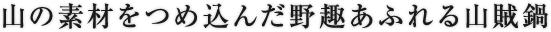 山の素材をつめ込んだ野趣あふれる山賊鍋