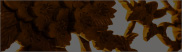 photo4
