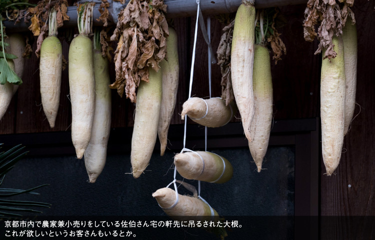 京都市内で農家兼小売りをしている佐伯さん宅の軒先に吊るされた大根。これが欲しいというお客さんもいるとか。