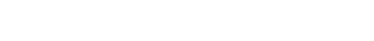 取材に訪れた師走の京都は例年にない暖かさ。鴨川の鳥たちもどこか拍子抜けしているようでした。