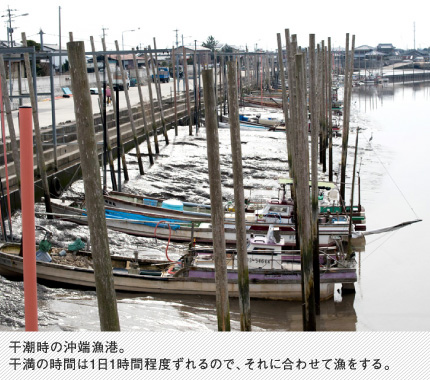 干潮時の沖端漁港。干満の時間は1日1時間程度ずれるので、それに合わせて漁をする。