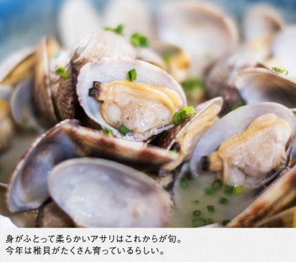 身がふとって柔らかいアサリはこれからが旬。今年は稚貝がたくさん育っているらしい。