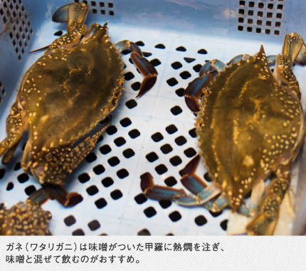 ガネ（ワタリガニ）は味噌がついた甲羅に熱燗を注ぎ、味噌と混ぜて飲むのがおすすめ。