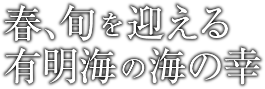 春、旬を迎える有明海の海の幸